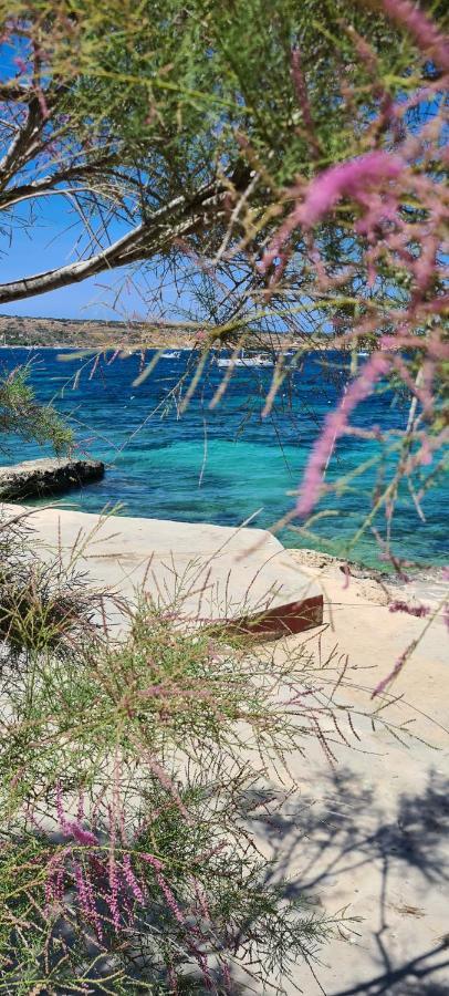 Mellieha Bay 3 Bedroom Apartment " Bliss On The Bay " エクステリア 写真